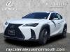 2021 Lexus UX 250h F SPORT