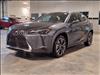 2025 Lexus UX 300h 