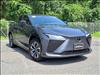 2024 Lexus RZ 300e Premium Package