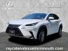 2020 Lexus NX 300h Comfort Package