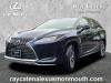 2021 Lexus RX 350L Navigation