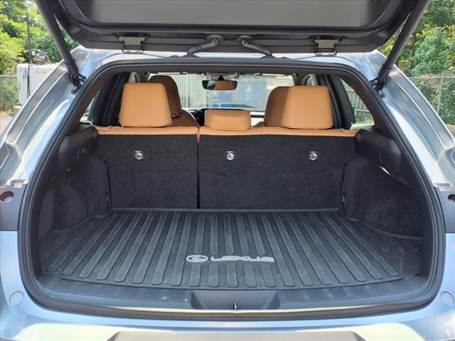 2023 Lexus UX 250h Premium
