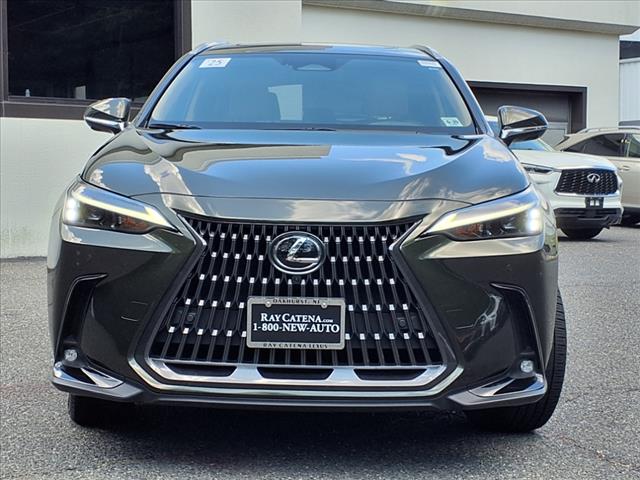 2025 Lexus NX 350 Navigation Package
