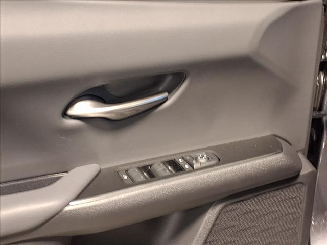 2025 Lexus UX 300h 