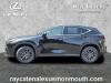 2022 Lexus NX 350 Moonroof & Cold Area Package