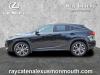 2022 Lexus RX 350 Premium Package
