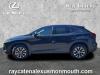 2022 Lexus RX 350 Navigation