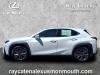 2021 Lexus UX 250h F SPORT