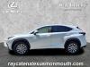 2020 Lexus NX 300h Comfort Package