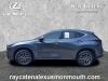 2022 Lexus NX 350h Premium