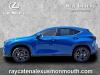 2025 Lexus NX 450h+ Luxury