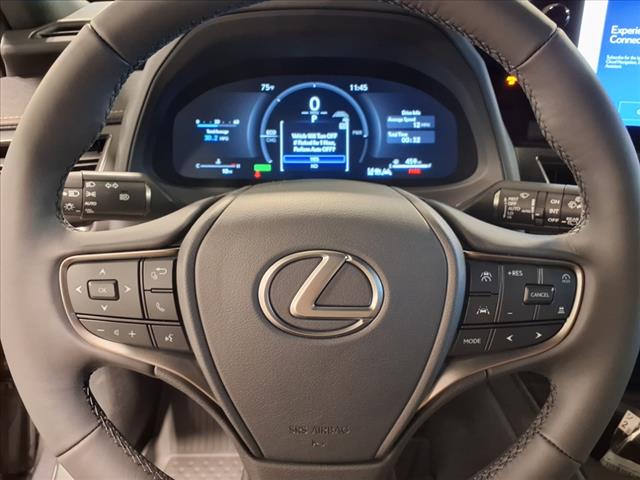 2025 Lexus UX 300h 