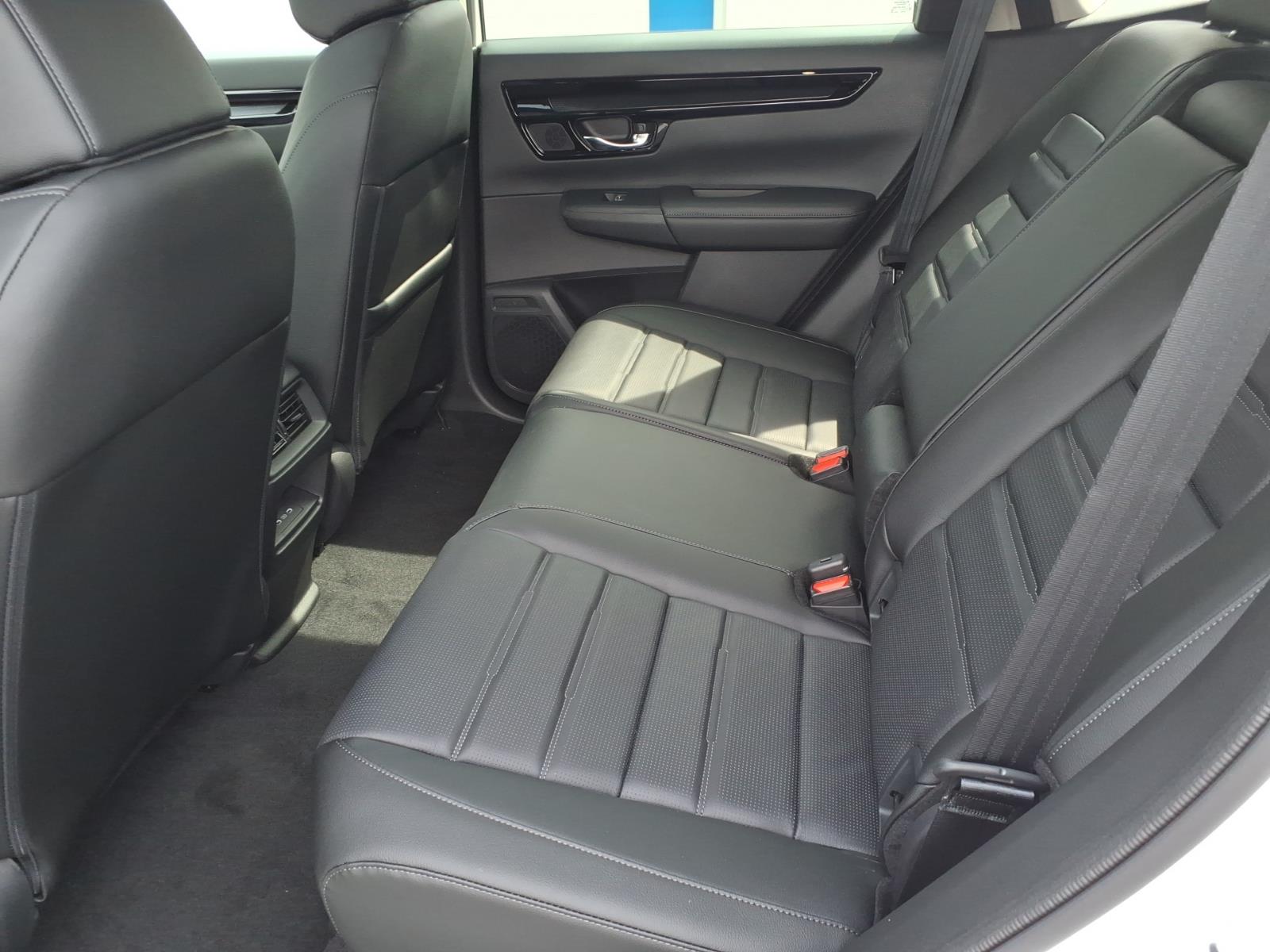 New 2026 Platinum White Honda EX-L image 5