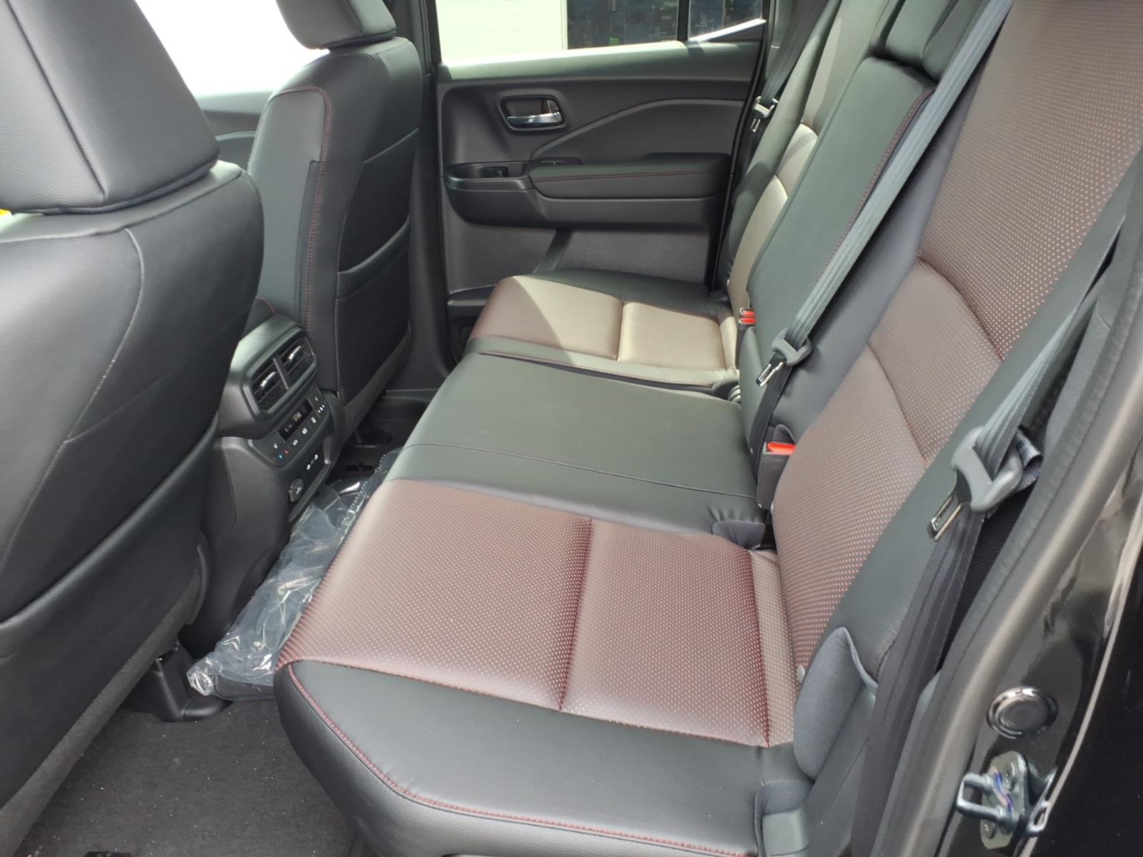 New 2026 Crystal Black Honda Black Edition image 6