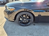 2025 Honda Civic Si