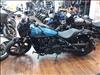 2025 Indian SCOUT 1250 