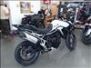 2024 Not Specified TIGER 900 