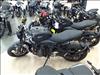 2024 Triumph INDENT 