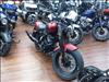 2024 Indian CHIEF BOBB 