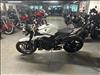 2024 Triumph STREET TRI 