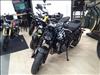 2024 Triumph INDENT 