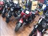 2024 Indian CHIEF SPRT 