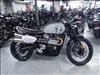 2024 Not Specified SCRAMBLER 