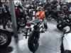 2025 Not Specified SCRAMBLER 