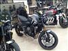 2024 Triumph INDENT 