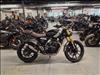 2025 Not Specified SCRAMBLER 