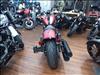 2024 Indian CHIEF BOBB 