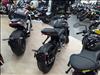 2024 Triumph INDENT 