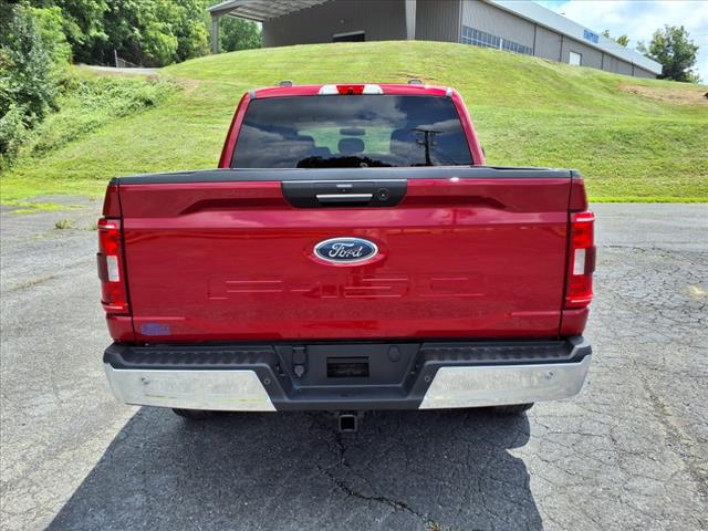 2021 Ford F-150 XLT - Photo 3
