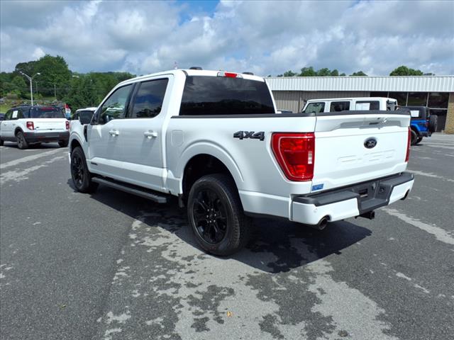 2023 Ford F-150 XLT - Photo 3