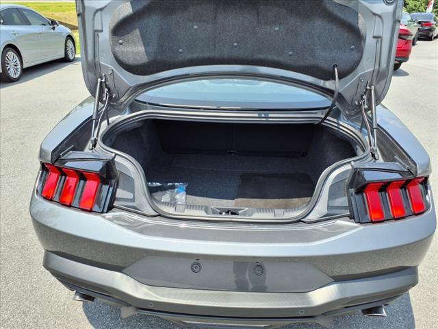 2024 Ford Mustang EcoBoost - Photo 9