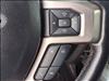 2019 Ford F-150 Platinum - thumbnail 13