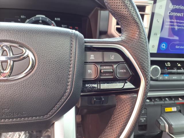 2022 Toyota Tundra Platinum