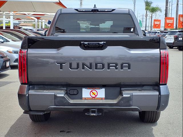 2022 Toyota Tundra Platinum