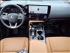 2023 Lexus NX 350 350 Premium