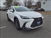 2023 Lexus NX 250