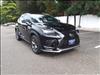 2021 Lexus NX 300