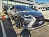 2021 Lexus NX 300