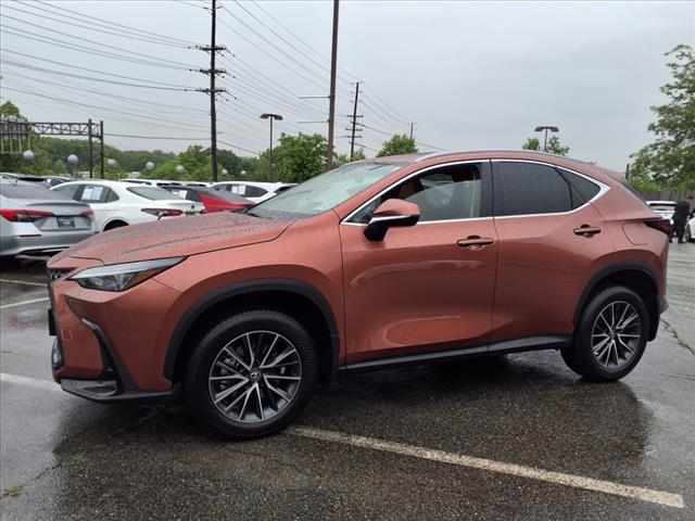 2025 Lexus NX 250 250 Premium
