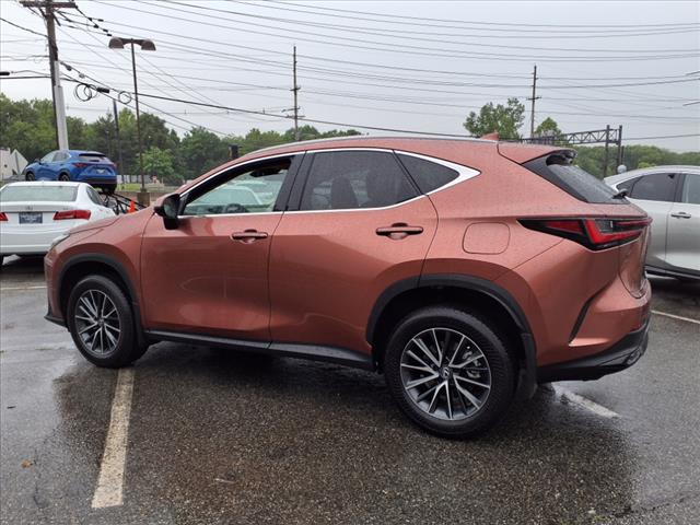 2025 Lexus NX 250 250 Premium