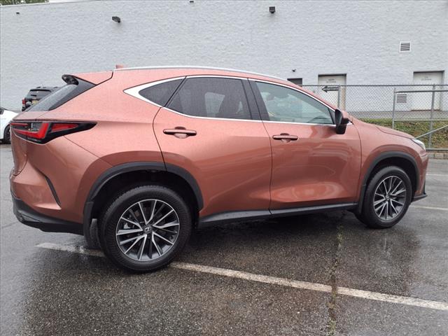 2025 Lexus NX 250 250 Premium