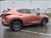 2025 Lexus NX 250 250 Premium