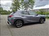 2020 Lexus UX 250h 250h F SPORT