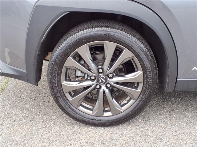 2020 Lexus UX 250h 250h F SPORT