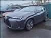 2024 Lexus UX 250h