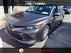 2019 Toyota Camry Hybrid